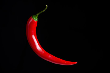 Red chili pepper on black background - obrazy, fototapety, plakaty