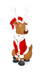Christmas Reindeer in Santa Costume