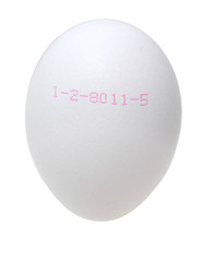 Legedatum auf einem weißen Ei