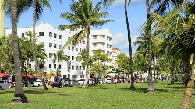 Time Lapse of Palm Trees on Miami Beach