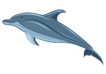 Dolphin