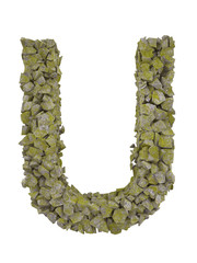 Destroyed letter of small pieces of stone covered with moss.