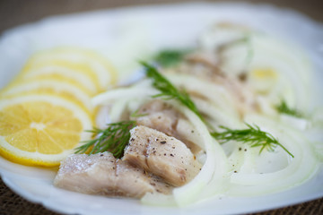 pieces of salted herring with onions
