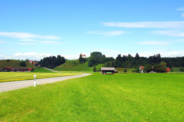 Fototapeta na wymiar Strasse und Wiese bei Berghof im Allgäu