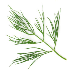 dill