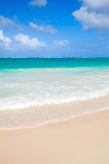 Vertical coastal sea landscape. Atlantic ocean coast