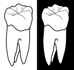 Tooth With Root - Graphic Style