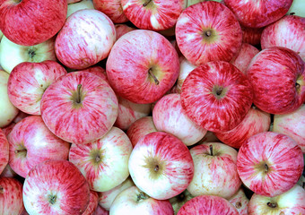 Backgrounds of red apples