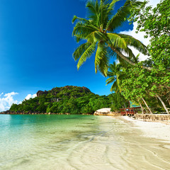 Beautiful beach with palm tree at Seychelles