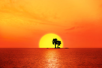 Obraz premium Sonnenuntergang mit Palmen