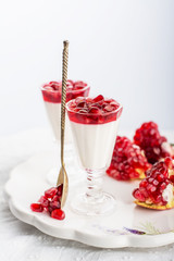pannacotta  with pomegranate jelly anate syrup