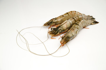 gambas