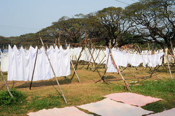 Linen drying at a Laundry of Fort Cochin