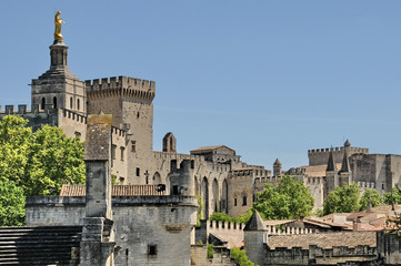 Obraz premium Avignone, panorama