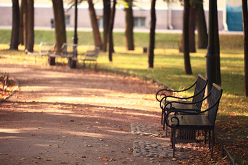 garden bench in autumn park landscape