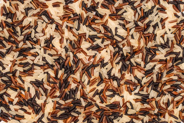 Food background with of rice variety . rice mixture. brown rice,