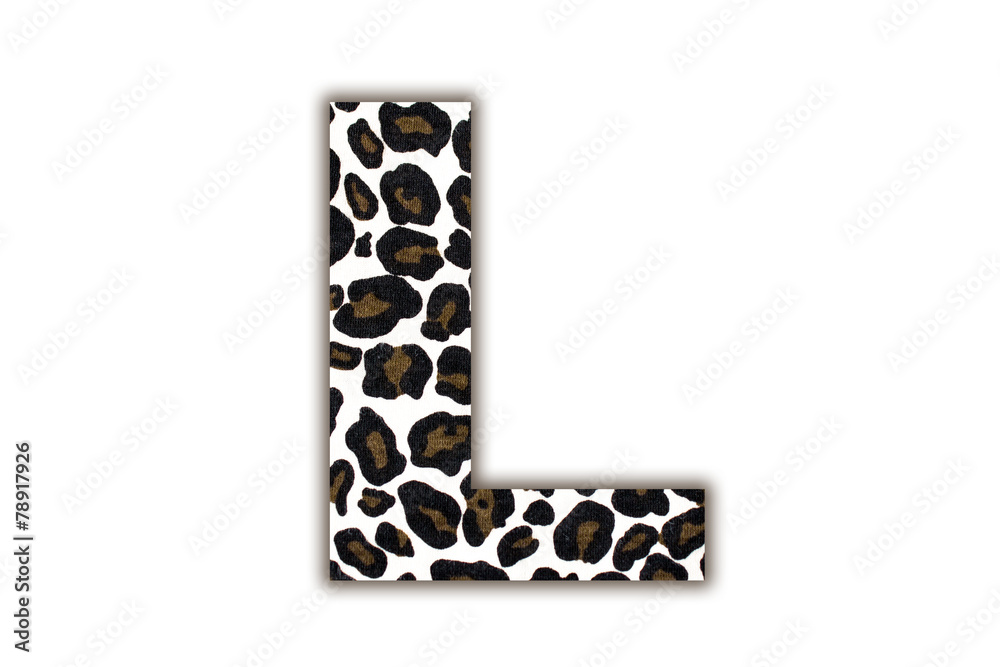 Poster font with pattern leopard