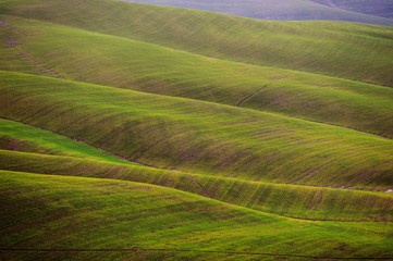 Obraz premium Golden hills