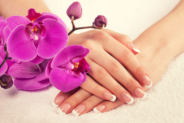Beautiful female hands with perfect french manicure