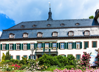 Schloss Eltville am Rhein. Wein, Sekt und Rosenstadt