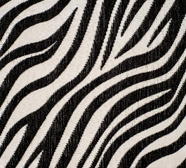 Zebra fabric texture