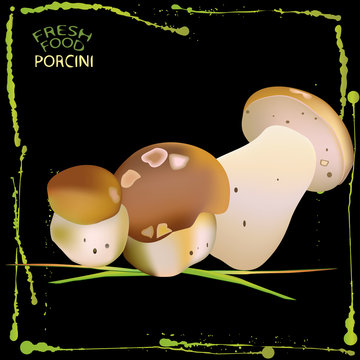 porcini mushrooms