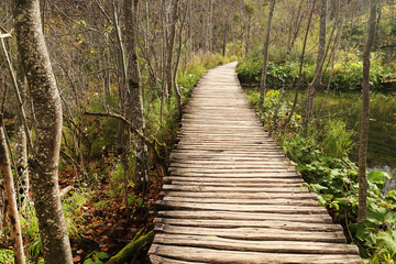 Obraz premium Alley in Plitvice National Park - Autumn colors