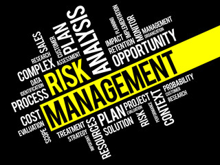 Risk Management business concept word cloud