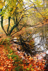 Plitvice National Park, Croatia, Europe - Autumn colors