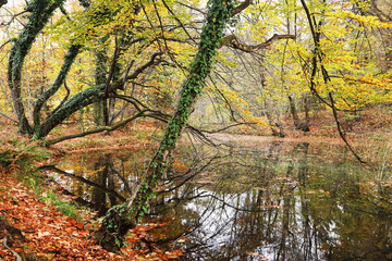 Plitvice National Park, Croatia, Europe - Autumn colors