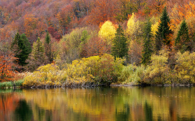 Autumn colors in Plitvice National Park, Croatia, Europe