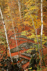 Plitvice National Park, Croatia, Europe - Autumn colors