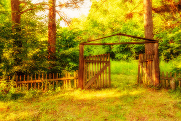Old wooden gate in forest