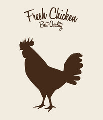 Fototapeta na wymiar fresh chicken