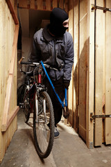 Bicycle theft
