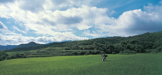 한국 농촌풍경