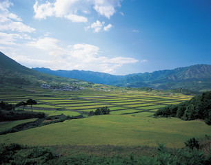 Naklejka premium 한국의 평야