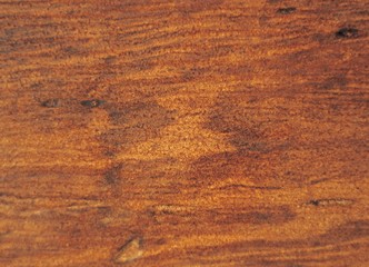 나무 배경이미지