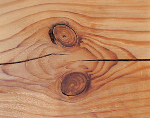 나무 배경이미지