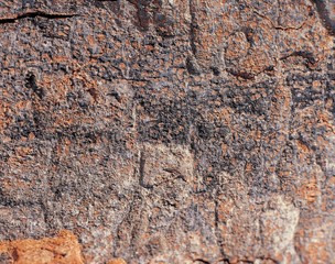 나무 배경이미지