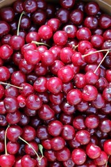 Red fresh cherries
