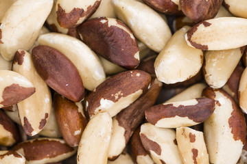 Brazil Nut Background