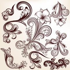 Collection of vector  hand drawn swirls in vintage style