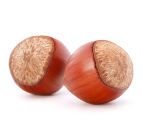 hazelnut or filbert nut isolated on white background cutout