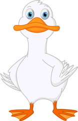 Cute duck cartoon