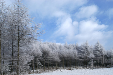중국의 자연풍경