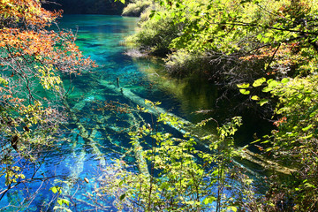 중국의 자연풍경