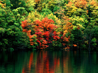 Obraz premium 중국의 자연풍경