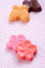 春と桜のイメージ