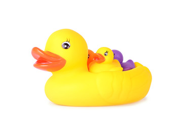 Plastic duck family isolated on white background